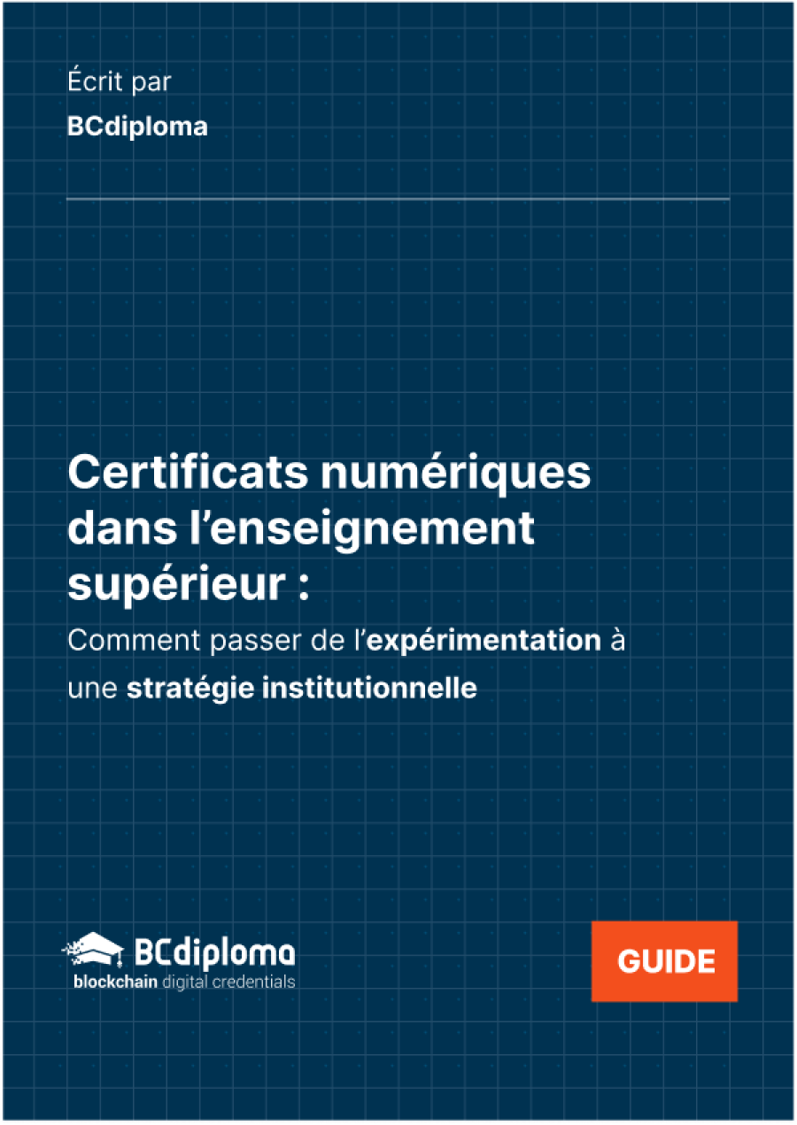 Guide stratégique